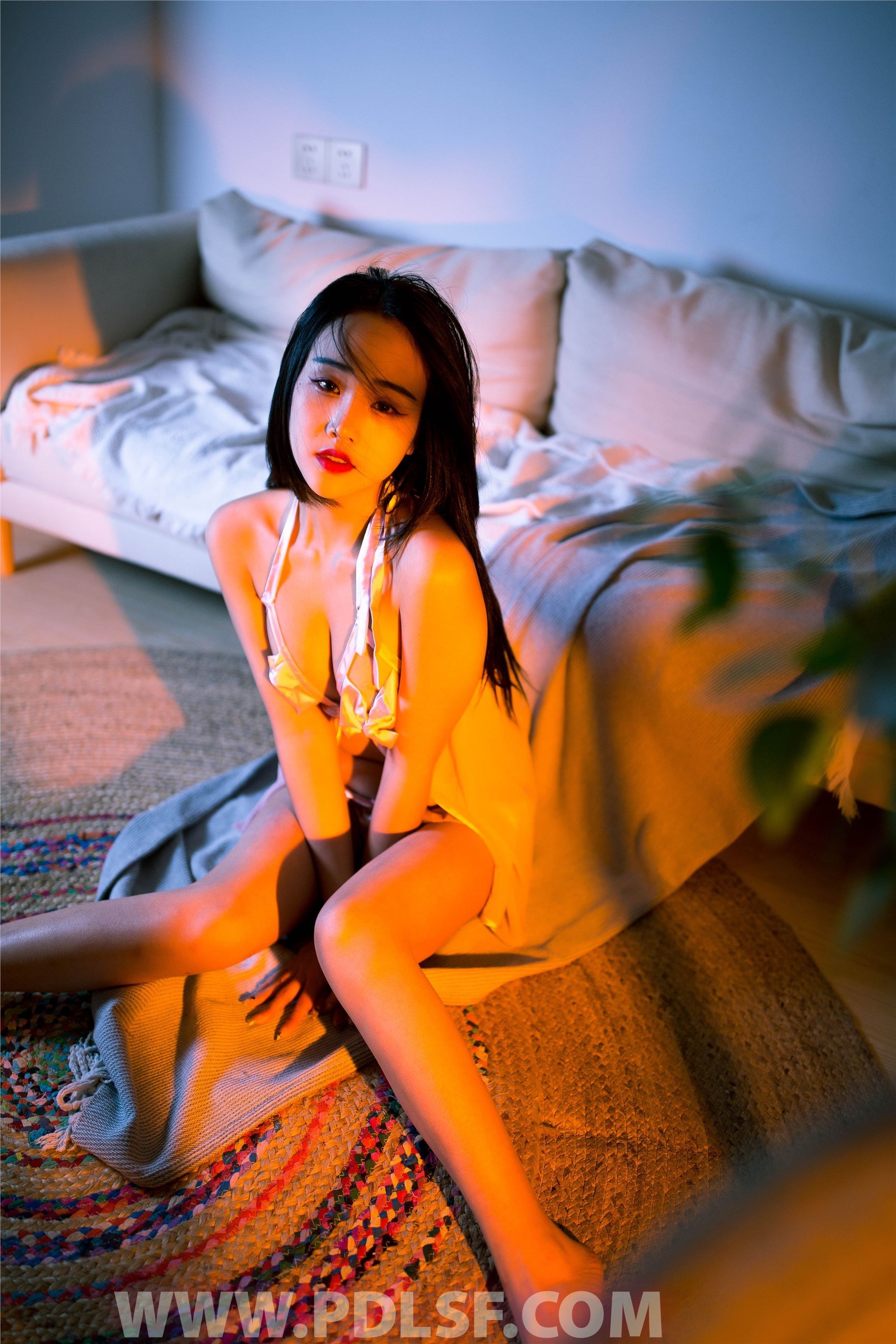 PDL潘多拉 2020.01.10 专辑No.265